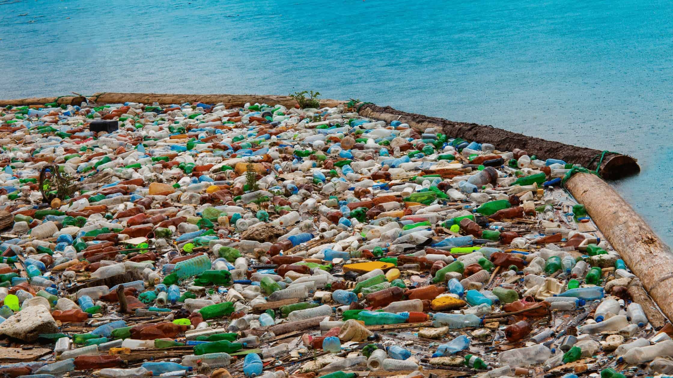 Plastic flessen en afval drijvend langs de waterkant
