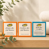 Beesha bundel met shampoo bar, conditioner bar en body bar