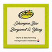 Shampoo Bar Bergamot & Ylang