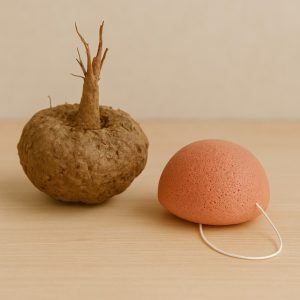 Alternative view of Konjac spons Rode Klei