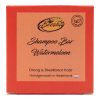 Shampoo Bar Watermeloen