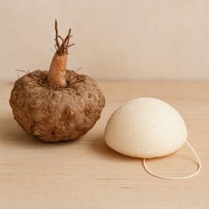 Alternative view of Konjac spons Naturel